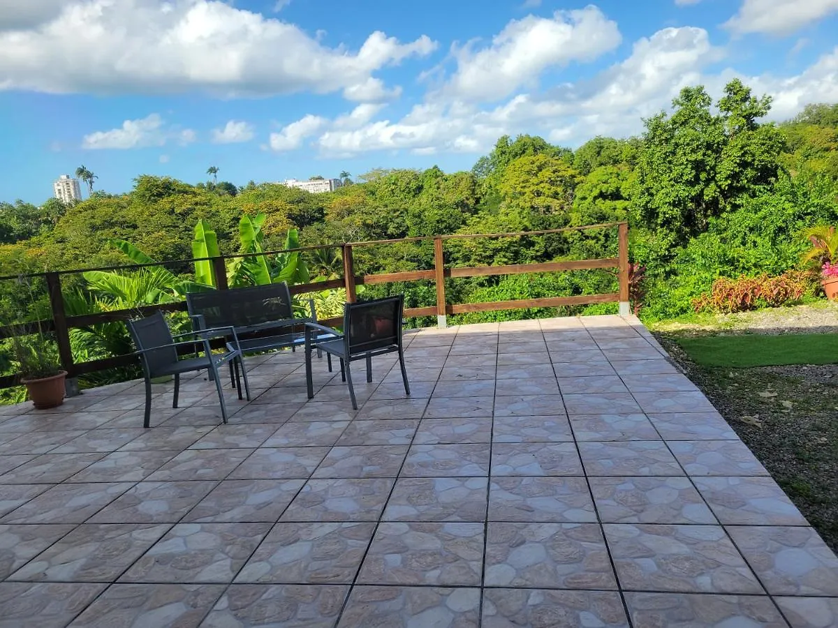 Studio Pleine Nature Les Abymes Guadalupe